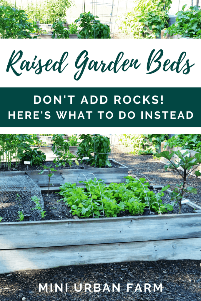 Exploring the Benefits of Including Rocks in Your Raised Garden Bed Exploring the Benefits of Including Rocks in Your Raised Garden Bed