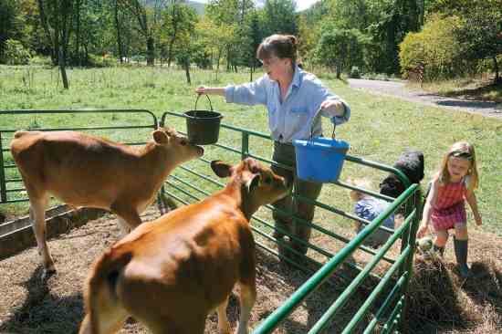 Exploring the Contrasts: Self-Sufficient versus Modern Society Exploring the Contrasts: Self-Sufficient versus Modern Society