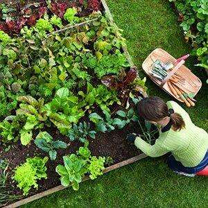 Exploring the Contrasts: Self-Sufficient versus Modern Society Exploring the Contrasts: Self-Sufficient versus Modern Society