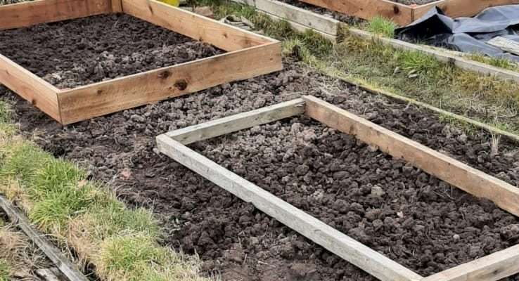 Exploring the Need for Membrane Under Raised Beds Exploring the Need for Membrane Under Raised Beds