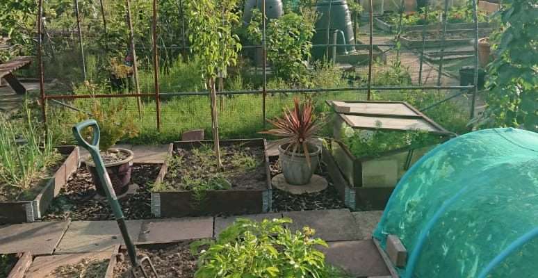 Exploring the Need for Membrane Under Raised Beds Exploring the Need for Membrane Under Raised Beds