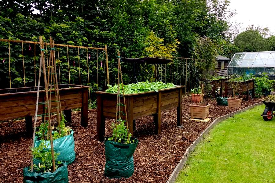 How to Achieve a Self-Sufficient Lifestyle