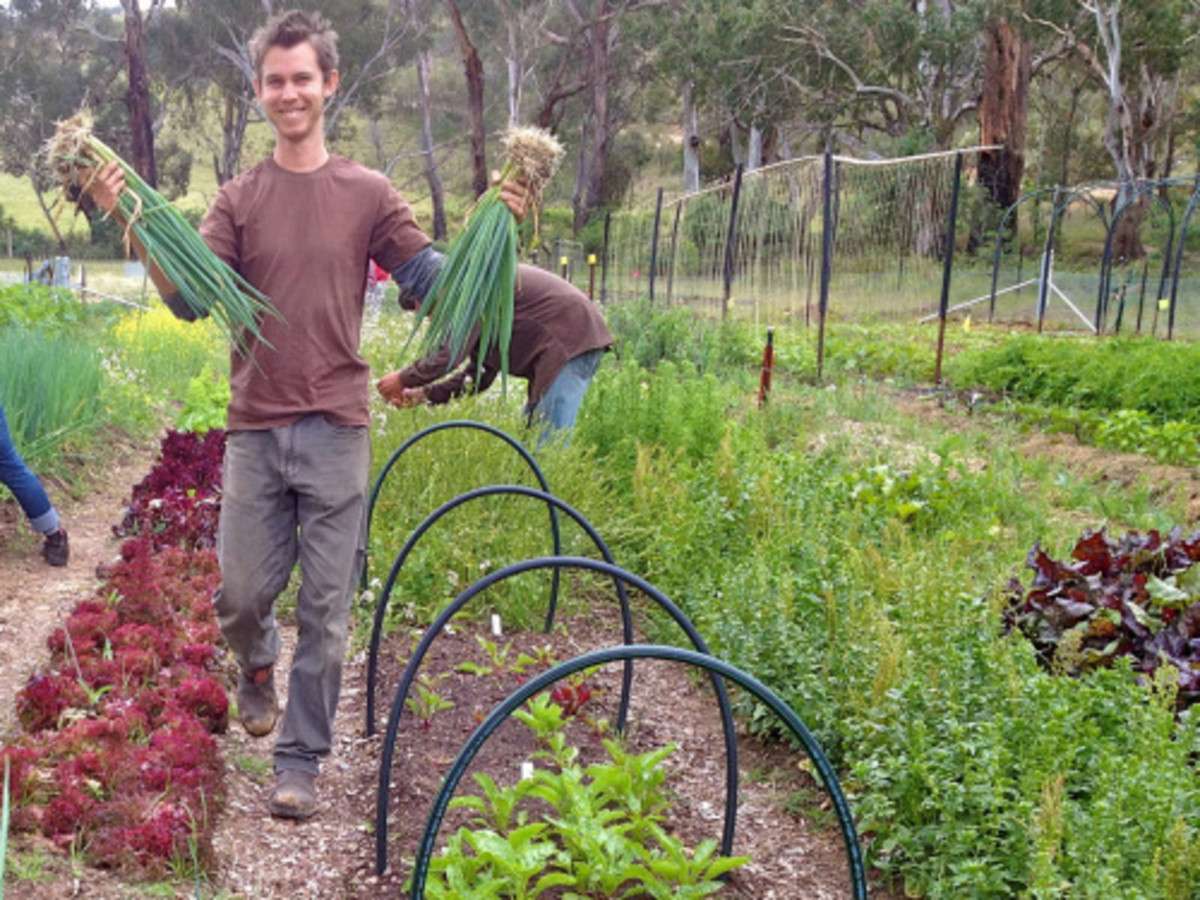 How to Achieve Self-Sufficient Food Sources in Off Grid Living How to Achieve Self-Sufficient Food Sources in Off Grid Living