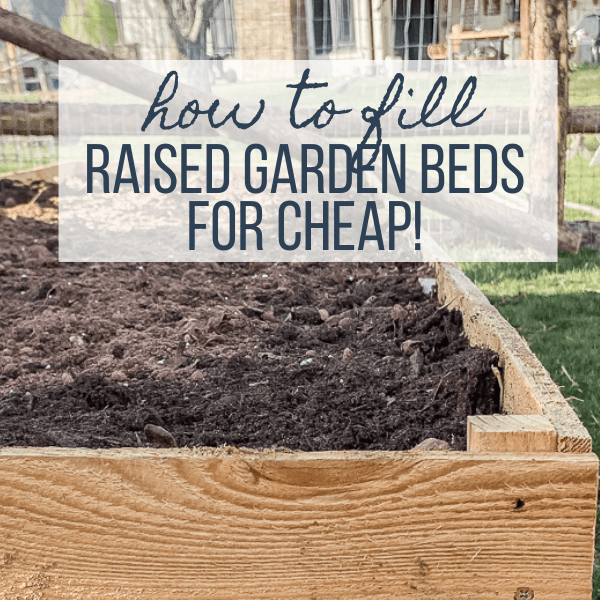 How to Fill a Raised Bed with Soil for Gardening How to Fill a Raised Bed with Soil for Gardening