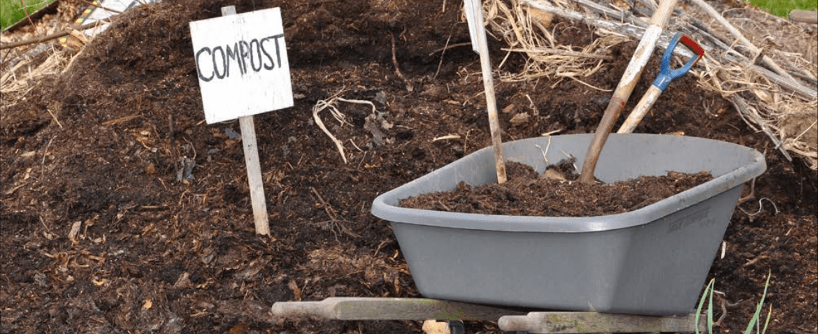 Is composting on top of soil beneficial for gardening? Is composting on top of soil beneficial for gardening?