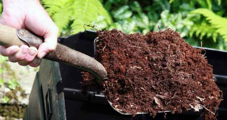Is composting on top of soil beneficial for gardening? Is composting on top of soil beneficial for gardening?