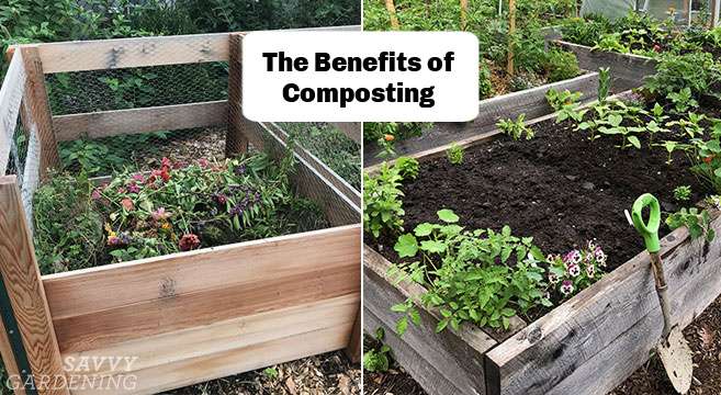 Is composting on top of soil beneficial for gardening? Is composting on top of soil beneficial for gardening?