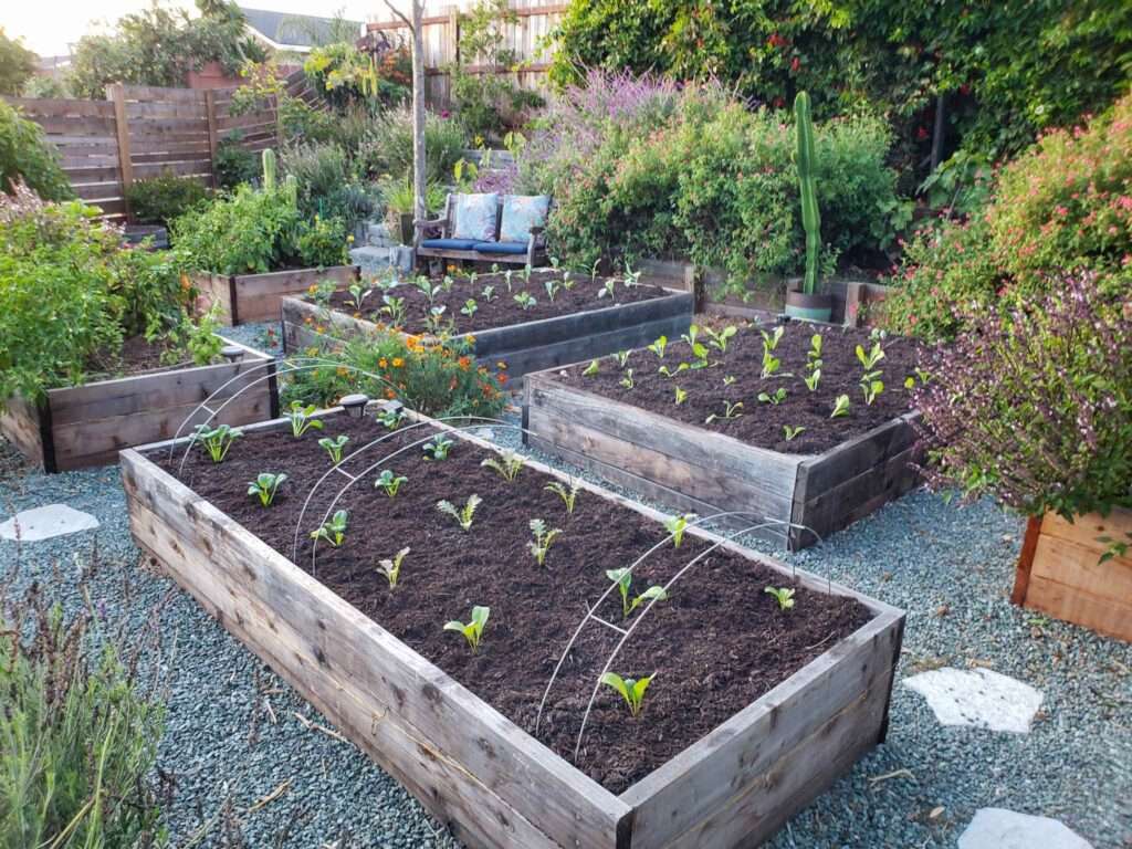 Is fertilizer necessary for raised beds? Is fertilizer necessary for raised beds?