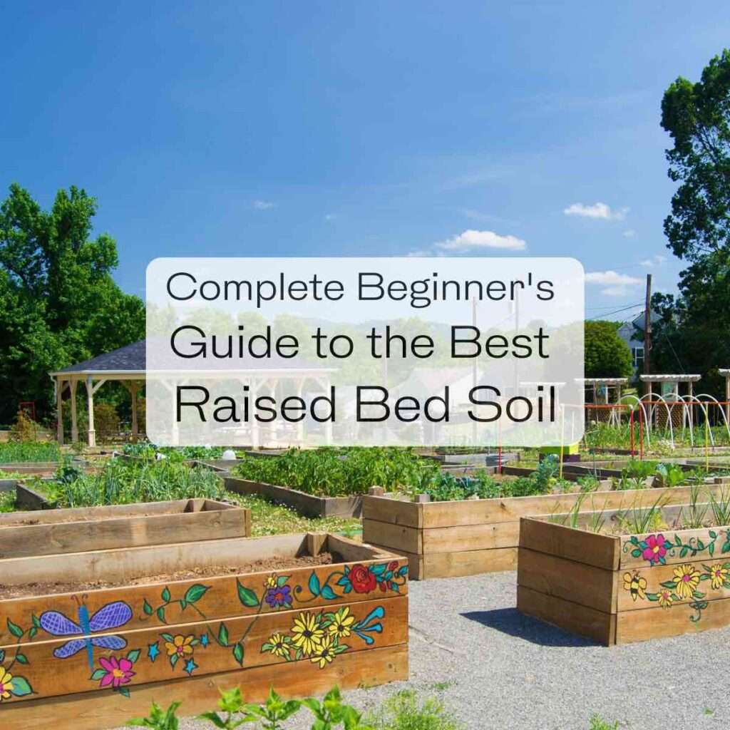 Is fertilizer necessary for raised beds? Is fertilizer necessary for raised beds?