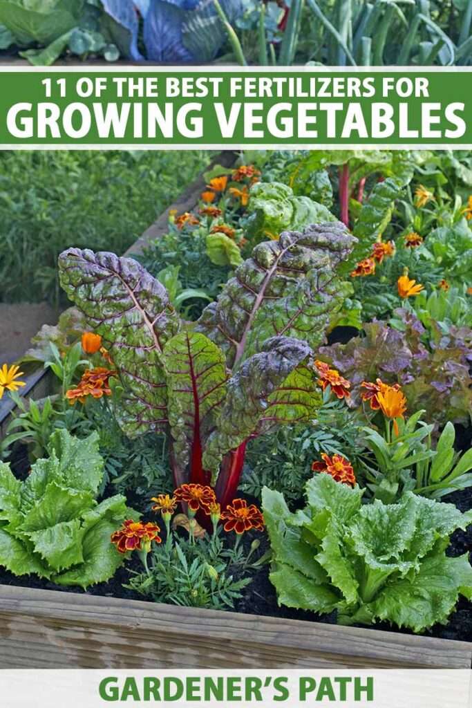 Is fertilizer necessary for raised beds? Is fertilizer necessary for raised beds?