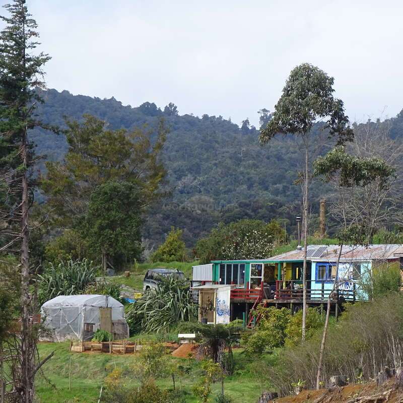 Is New Zealands Off Grid Living Sustainable? Is New Zealands Off Grid Living Sustainable?