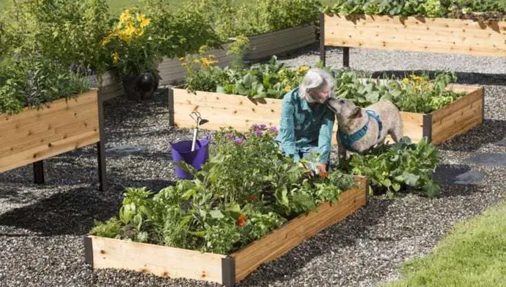 Maximizing Drainage in Raised Garden Beds - OffGridHarmony