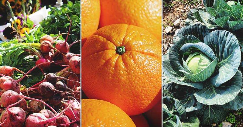 Preserving Food by Burying: Is it Effective?