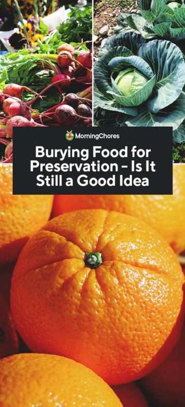 Preserving Food by Burying: Is it Effective?