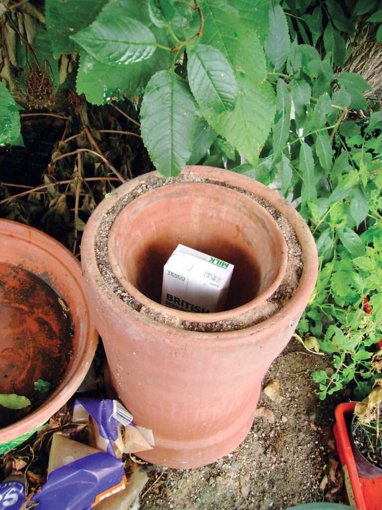 Preserving Fruit in Clay: An Ancient Technique for Off-Grid Living Preserving Fruit in Clay: An Ancient Technique for Off-Grid Living