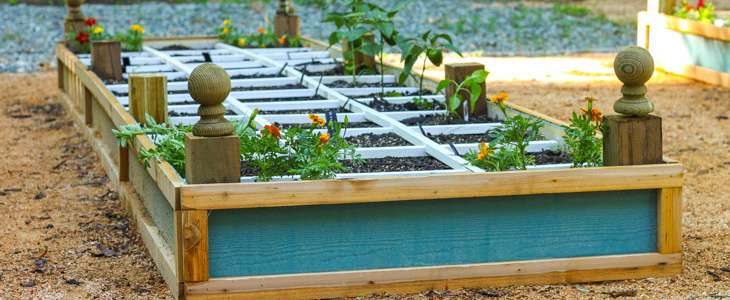 Preventing Rot in Raised Bed Gardens Preventing Rot in Raised Bed Gardens