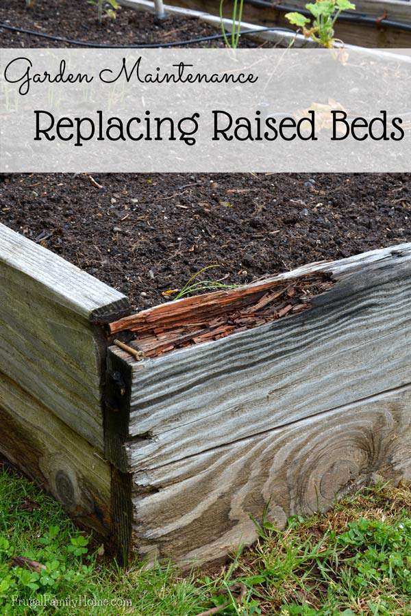 Preventing Rot in Raised Bed Gardens Preventing Rot in Raised Bed Gardens