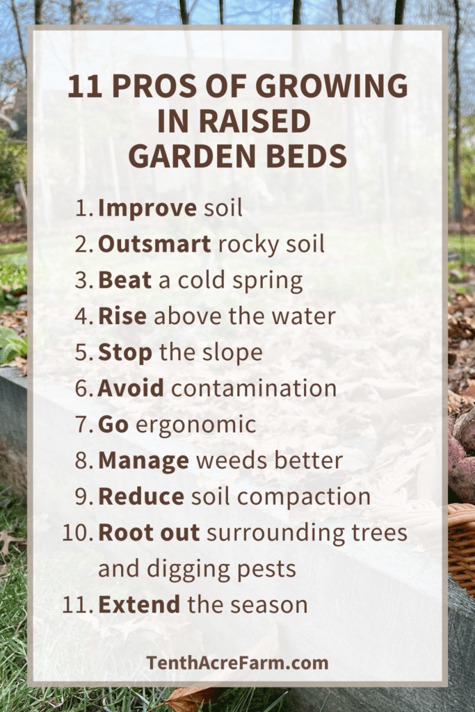 Pros and Cons of Elevated Garden Beds Pros and Cons of Elevated Garden Beds