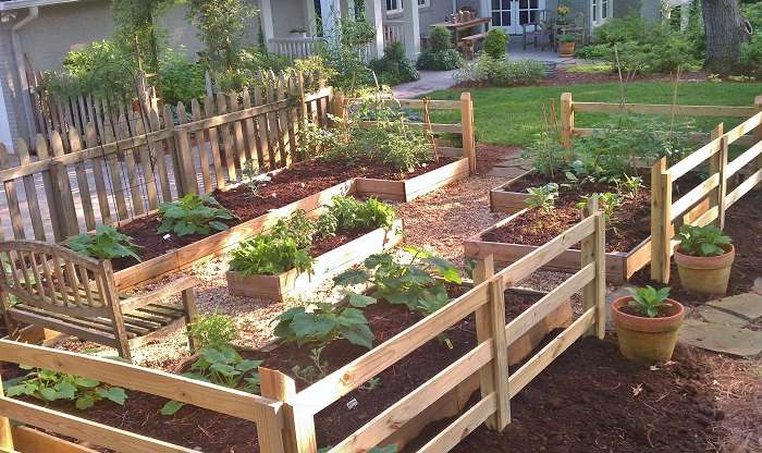 Pros and Cons of Lining a Raised Garden Bed Pros and Cons of Lining a Raised Garden Bed