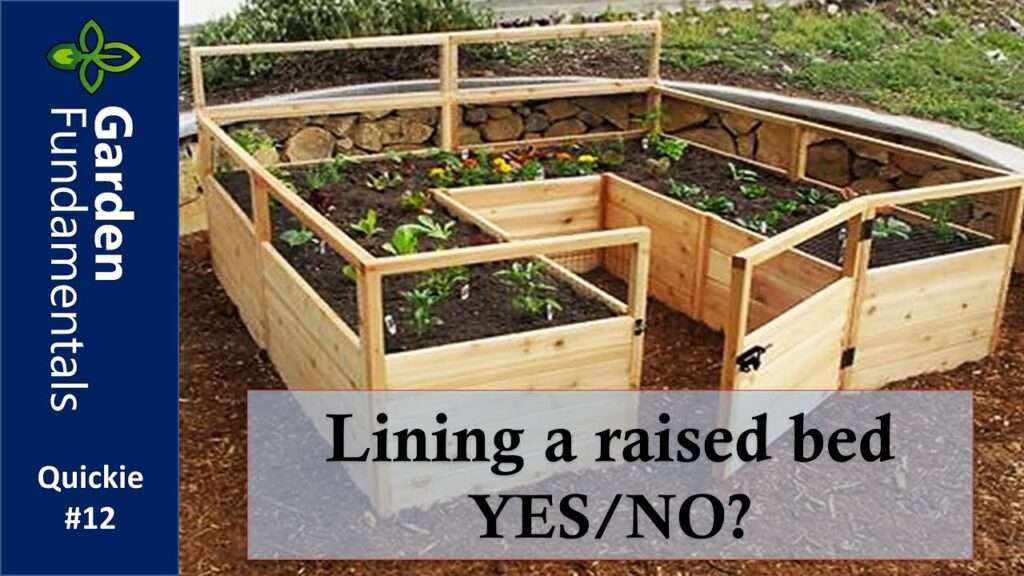 Pros and Cons of Lining a Raised Garden Bed with Plastic Pros and Cons of Lining a Raised Garden Bed with Plastic