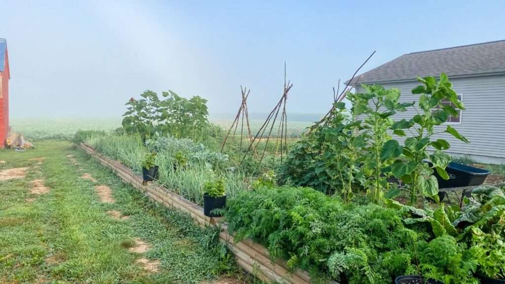 Self-sufficient Living: A Real Life Example