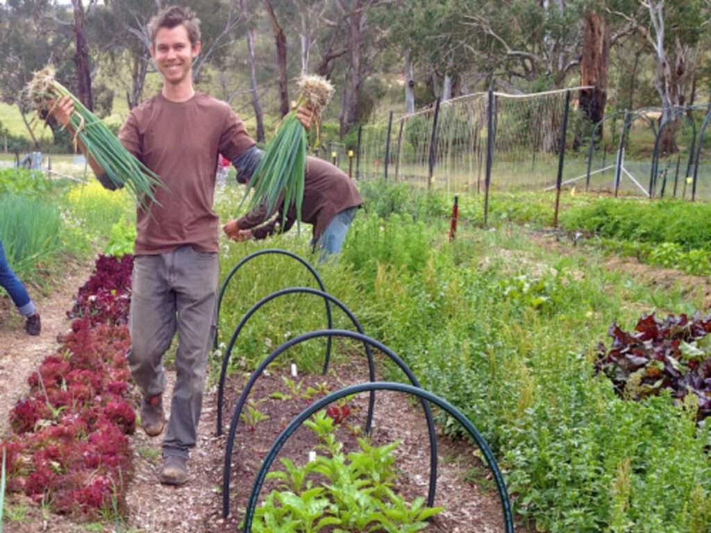 Self-sufficient Living: A Real Life Example