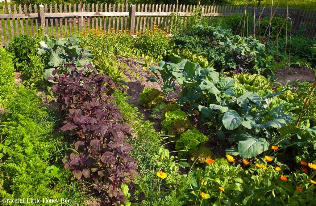 Self-sufficient Living: A Real Life Example