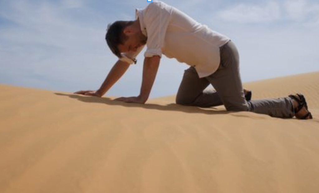 The Art of Food Preservation: Survival Tips for the Desert