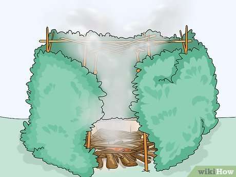 The Art of Food Preservation: Survival Tips for the Desert