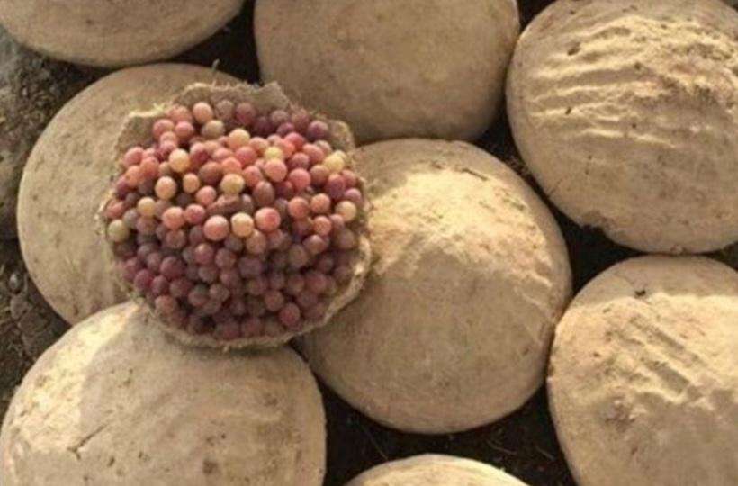 The Art of Food Preservation with Clay