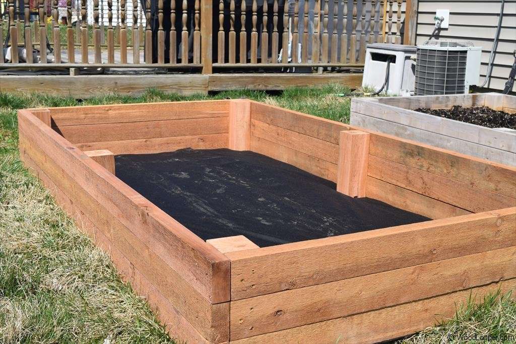 The Best Wood for Raised Garden Beds