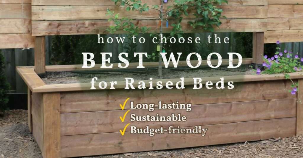The Best Wood for Raised Garden Beds
