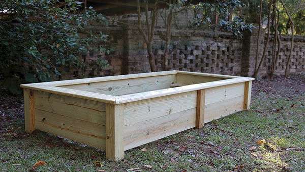 The Best Wood for Raised Garden Beds - OffGridHarmony