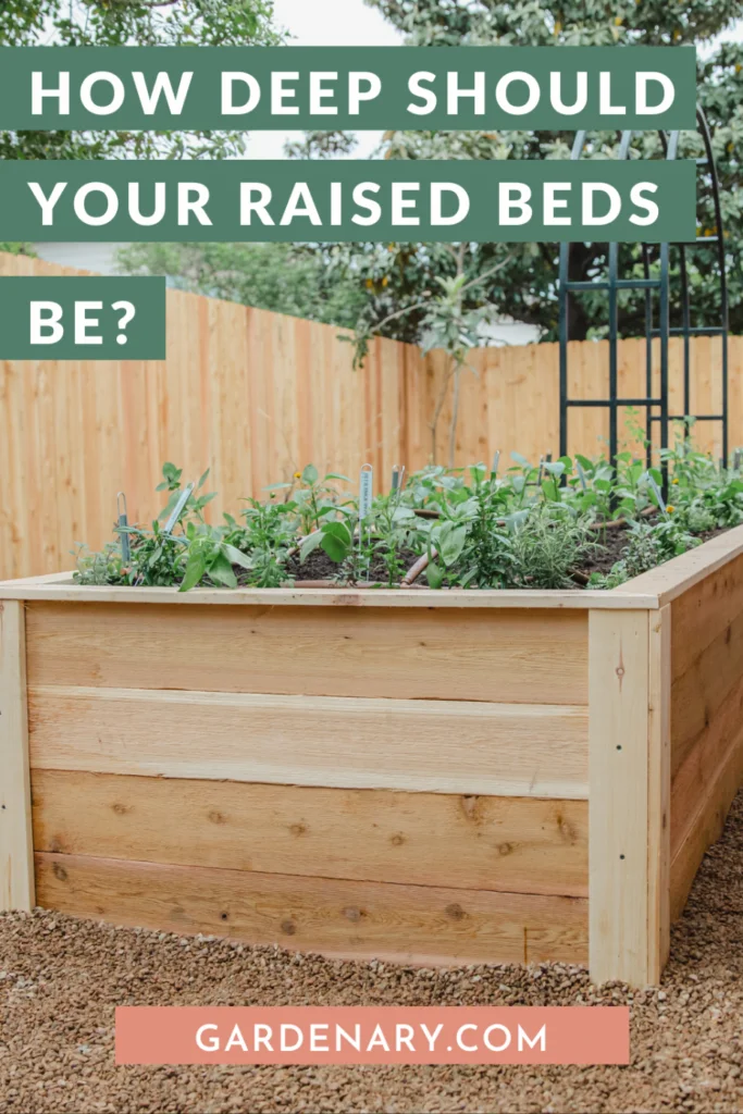The Ideal Depth for Raised Garden Beds