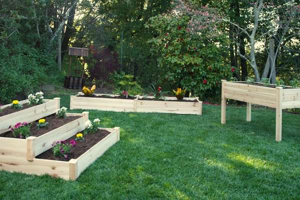 The Ideal Height for Raised Beds in Gardening The Ideal Height for Raised Beds in Gardening