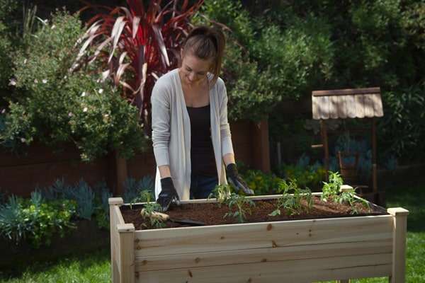 The Ideal Height for Raised Beds in Gardening The Ideal Height for Raised Beds in Gardening