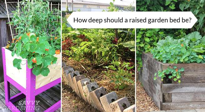 The Impact of Raised Bed Height on Gardening Success