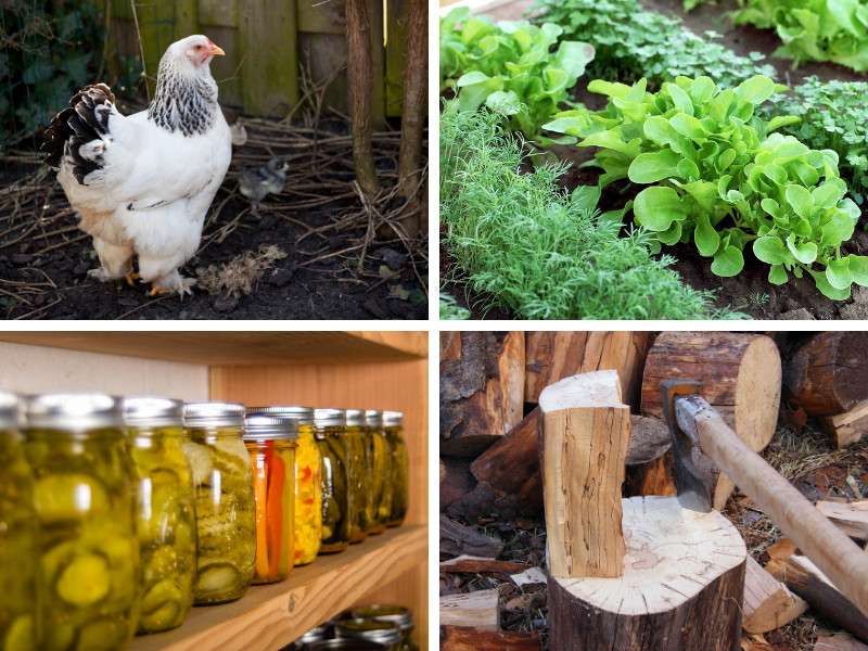 The Key to Self-Sufficient Living The Key to Self-Sufficient Living