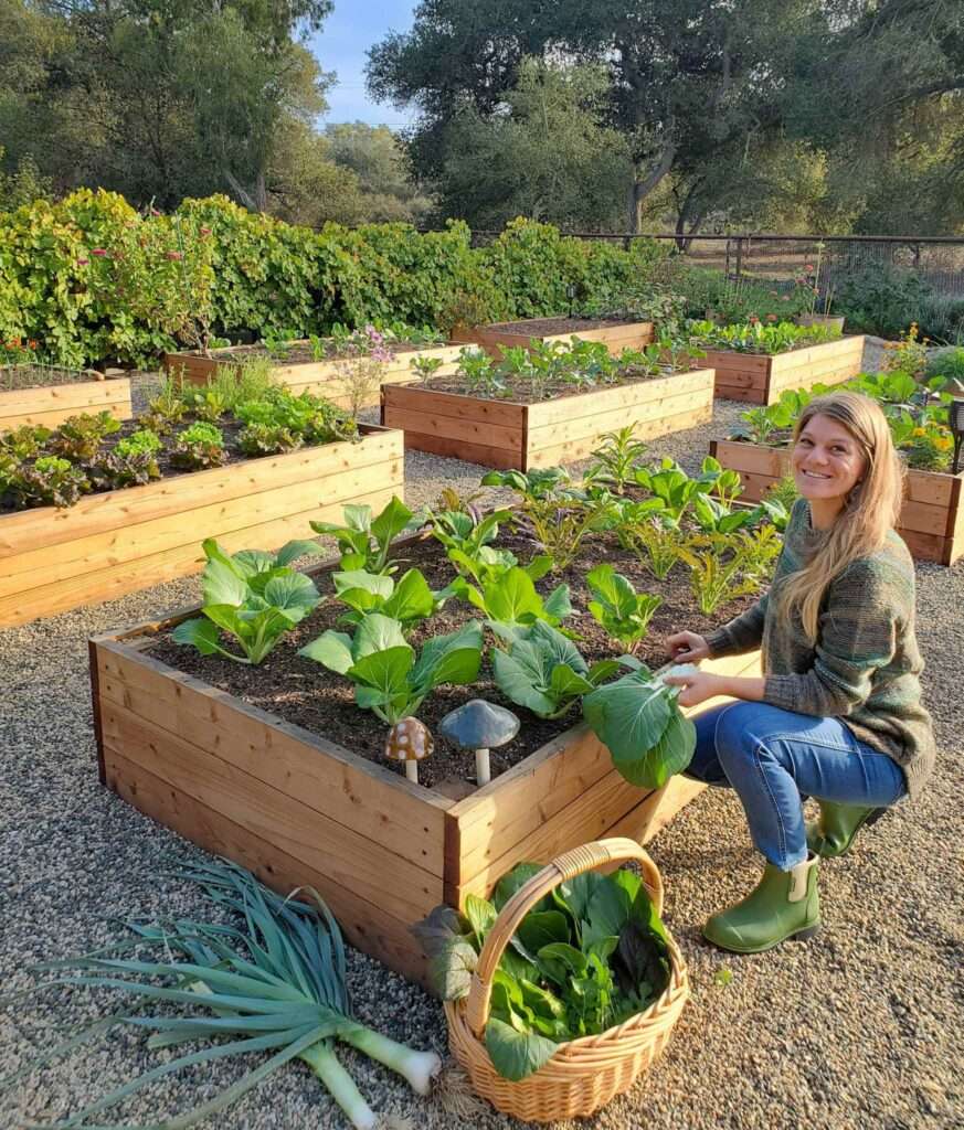 The Lifespan of Raised Beds: A Guide to Sustainability