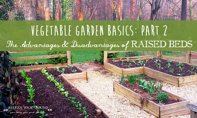 The Pros and Cons of Raised Bed Gardening