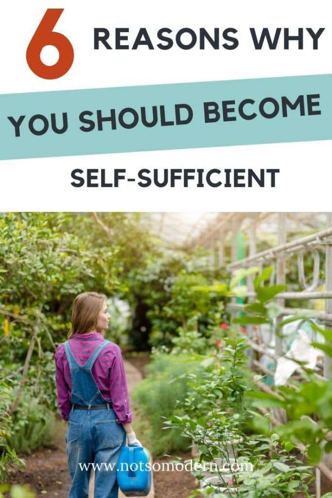 The Pros and Cons of Self-Sufficient Living