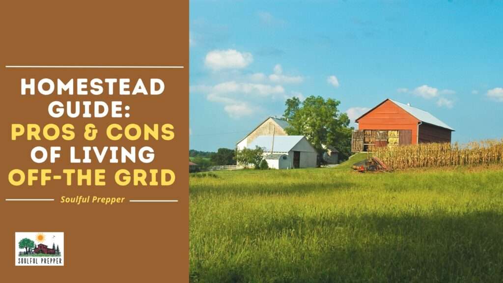 The Pros and Cons of Self-Sufficient Living