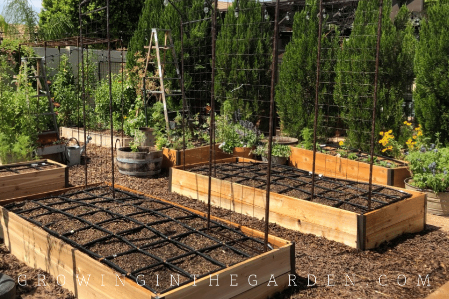 The Water Requirements of Raised Beds