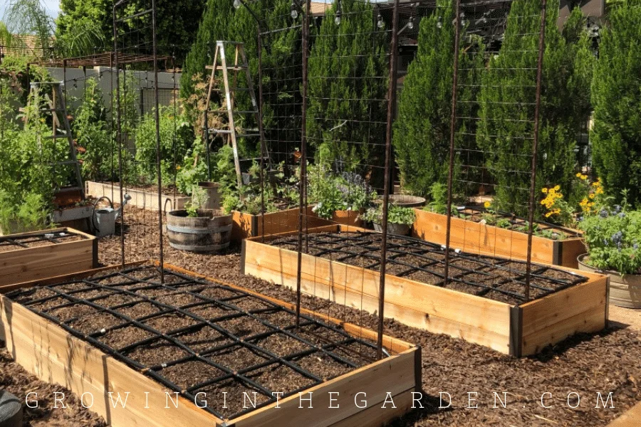 The Water Requirements of Raised Beds The Water Requirements of Raised Beds