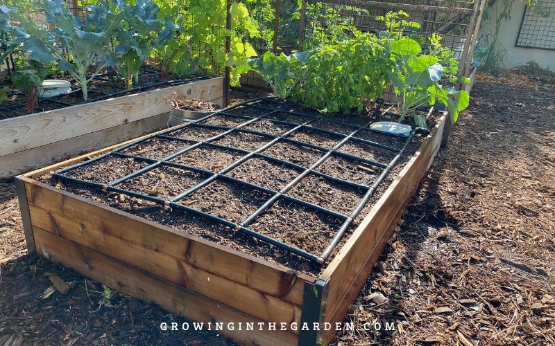 The Water Requirements of Raised Beds