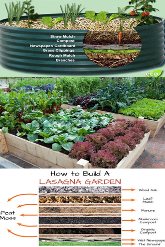 Tips for Filling the Bottom of a Raised Garden Bed Tips for Filling the Bottom of a Raised Garden Bed