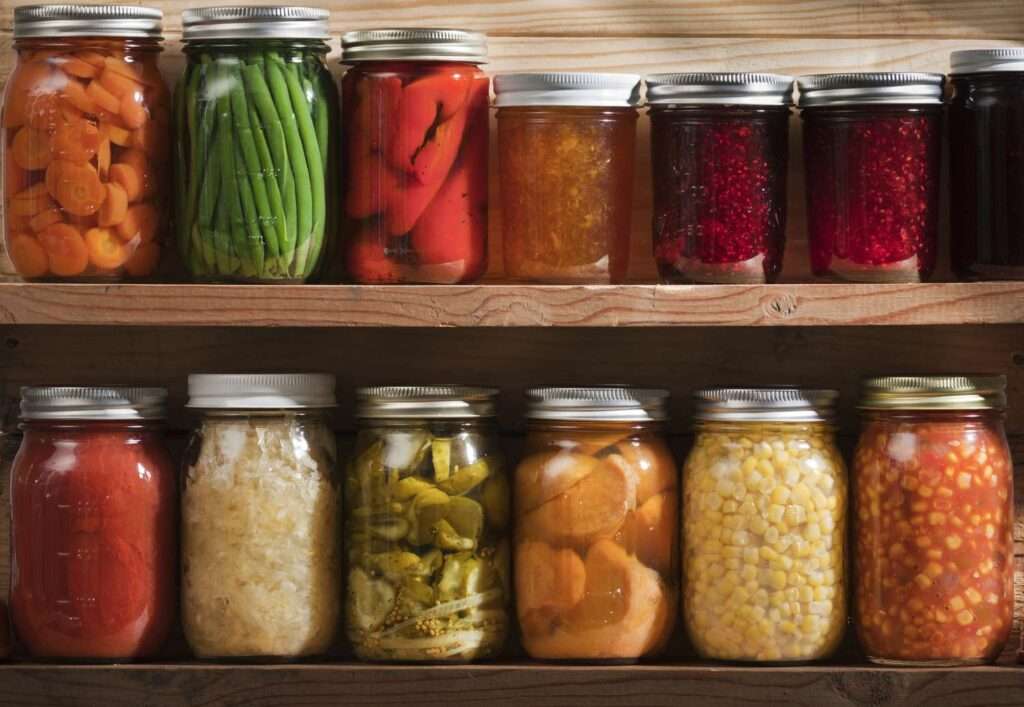 Tips for Preserving Food while Traveling Tips for Preserving Food while Traveling