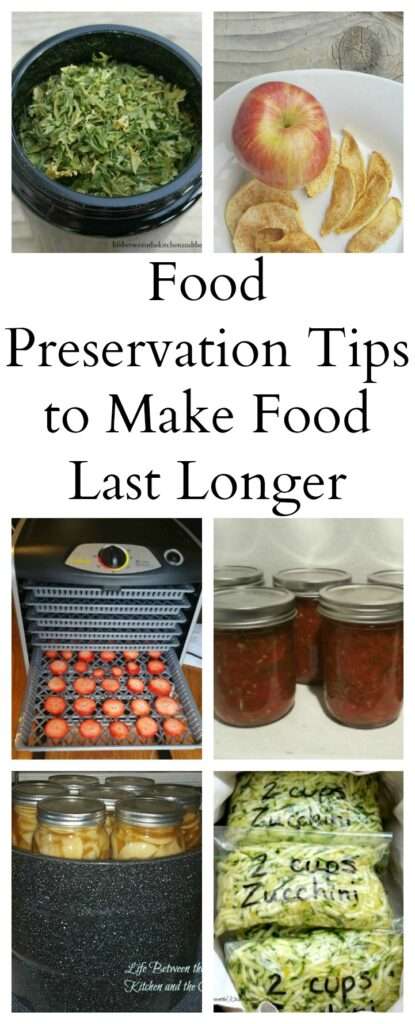 Tips for Preserving Food while Traveling Tips for Preserving Food while Traveling