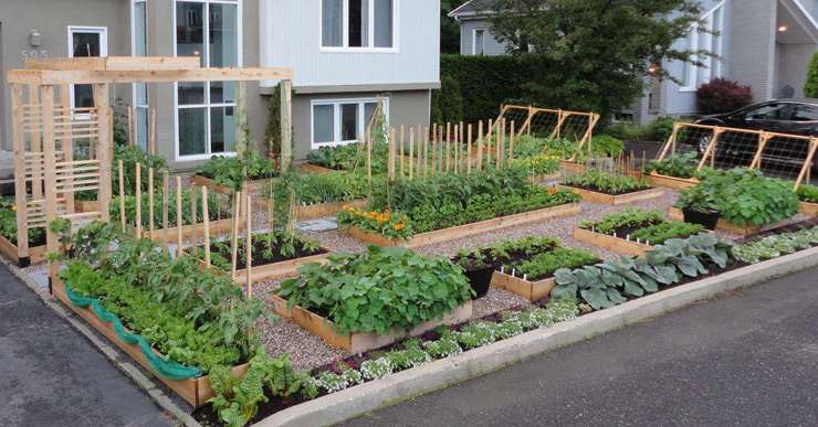Tips for Successful Gardening in Off Grid Living