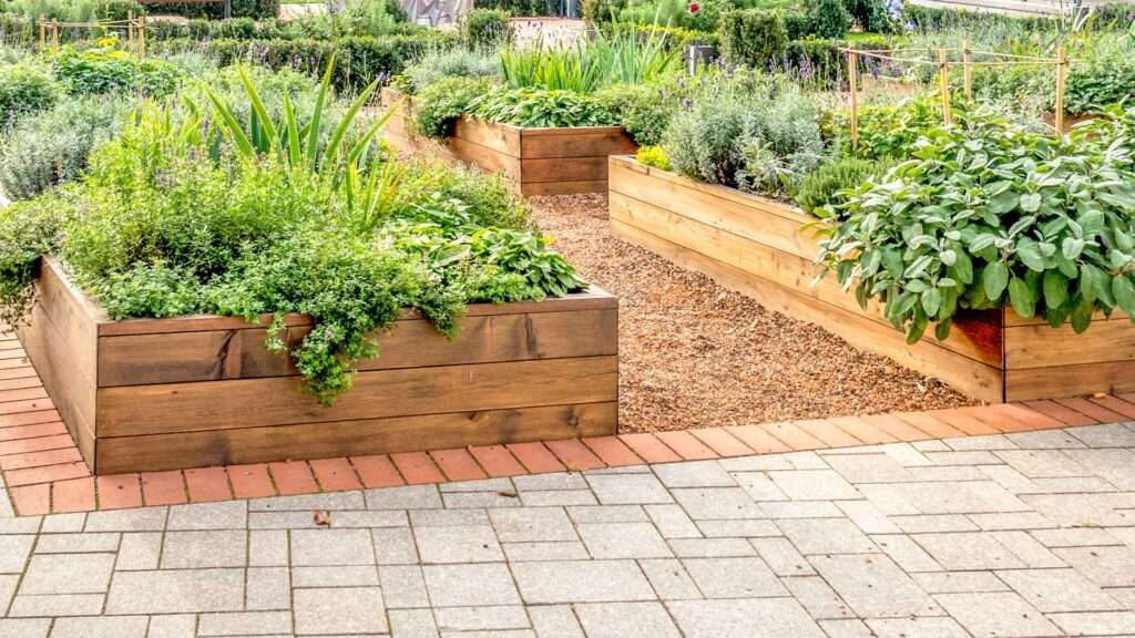 Understanding the disadvantages of using raised beds for gardening